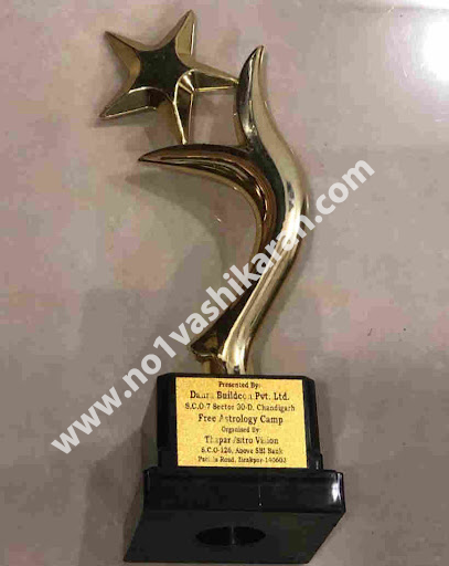 Best Astrologer 2024 Award